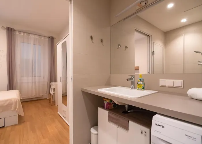 Apartmán An Der Donau, 10 Minuten Ins Zentrum, Klimaanlage *
